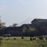 14-Berga-Kelbra Blick Vom Alten Bahndamm Nach Südosten Kelbra Kyffhäuser