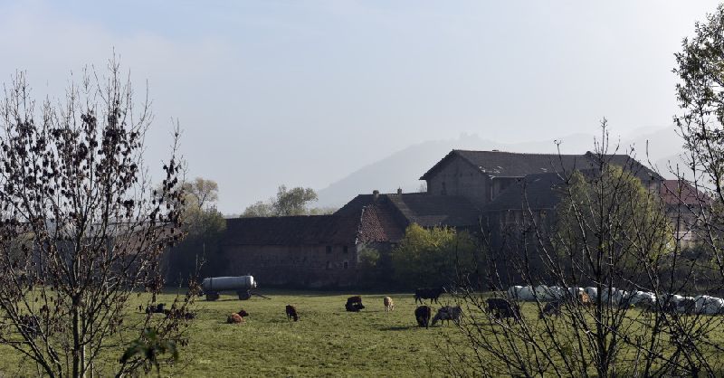 14-Berga-Kelbra Blick Vom Alten Bahndamm Nach Südosten Kelbra Kyffhäuser