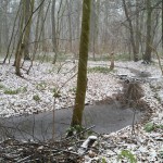 17a-Leipzig Burgaue Kilometerweg Blick Nach Südwesten Zu Burgauenbach