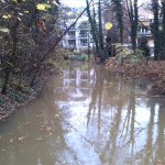 1a-Leipzig Mühlpleiße Abwärts Nach Nordwesten Unweit Prinz-Eugen-Straße (2)