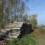 24-Badra NSG-Schloßberg - Solwiesen Blick Nach Nordosten Zu Talsperre Kelbra