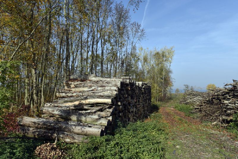 24-Badra NSG-Schloßberg - Solwiesen Blick Nach Nordosten Zu Talsperre Kelbra