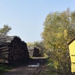 25-Badra NSG-Schloßberg - Solwiesen Blick Nach Nordwesten In Richtung Numburg