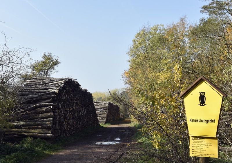 25-Badra NSG-Schloßberg - Solwiesen Blick Nach Nordwesten In Richtung Numburg