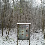 25a-Leipzig Burgaue Nordostteil Am Reitweg Blick Nach Süden