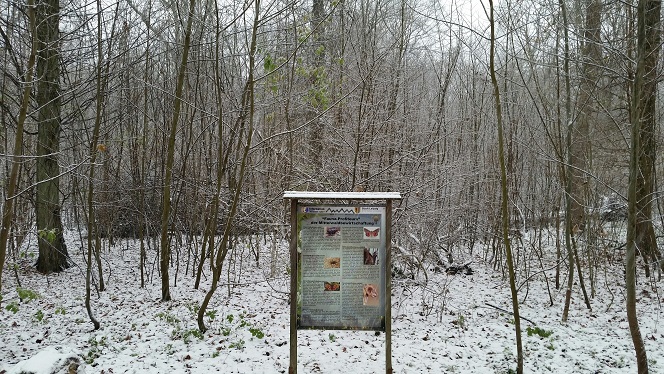 25a-Leipzig Burgaue Nordostteil Am Reitweg Blick Nach Süden
