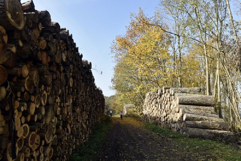 26-BadraNSG-Schloßberg - Solwiesen Blick Nach Nordwesten In Richtung Numburg