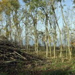 27-Badra NSG-Schloßberg - Solwiesen Blick Nach Nordosten Zu Talsperre Kelbra