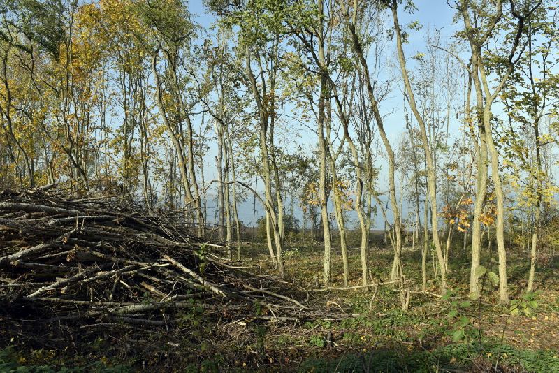 27-Badra NSG-Schloßberg - Solwiesen Blick Nach Nordosten Zu Talsperre Kelbra