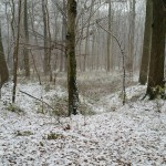 27a-Leipzig Burgaue Nordostteil Am Reitweg Blick Nach Süden