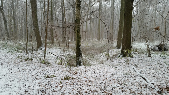 27a-Leipzig Burgaue Nordostteil Am Reitweg Blick Nach Süden