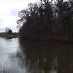 28a-Merseburg Treidelweg Blick Zu Saale & Rischmühleninsel Nach Süden (1)