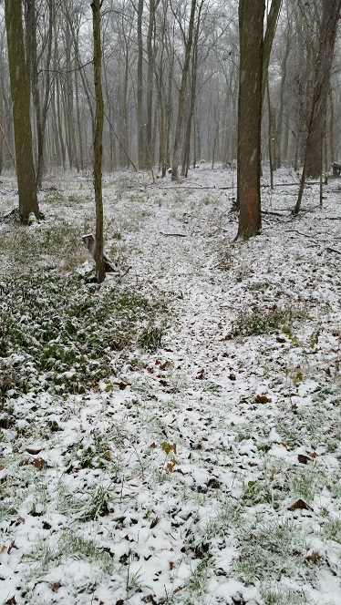 30a-Leipzig Burgaue Nordostteil Am Reitweg Blick Nach Süden