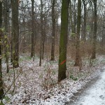 4a-Leipzig Blick Von Deich Neue Luppe Östlich Brücke & Gustav-Esche-Straße Auf Möckernsche Winkel Nach Südwesten