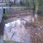 4a-Merseburg Ablauf Geisel Aus Vorderen Gotthardteich Blick Nach Süden Zu Bürgergarten (1)