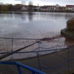 5a-Merseburg Ablauf Geisel Aus Vorderen Gotthardteich Zu Vorderen Gotthardteich Von Bürgergarten Nach Nordwesten (2)