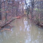 7a-Leipzig Mühlpleiße Aufwärts An Brücke Filterweg Nach Osten In Richtung Mühlholzsteg (1)