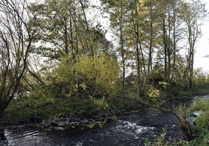 8-Berga-Kelbra Thyramündungsgebiet In Helme
