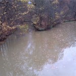 9a-Leipzig Pleiße & Mühlpleiße Aufwärts Blick Von Hakenbrücke Nach Osten Zu Einmündung Mühlpleiße In Pleiße (2)