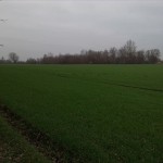 12a-Merseburg Verbindungsweg Von Leunaer Straße Zu Leunatorstraße In Leuna Blick Nach Nordosten in Richtung Saale-Radwanderweg (1)