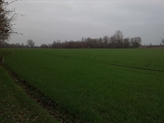12a-Merseburg Verbindungsweg Von Leunaer Straße Zu Leunatorstraße In Leuna Blick Nach Nordosten in Richtung Saale-Radwanderweg (1)