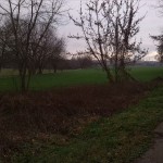 2a-Merseburg Abzweig-Saale-Radwanderweg Zu Verbindungsweg Zu Leunatorstraße In Leuna Blick Nach Südosten (1)