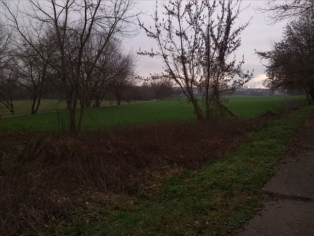 2a-Merseburg Abzweig-Saale-Radwanderweg Zu Verbindungsweg Zu Leunatorstraße In Leuna Blick Nach Südosten (1)