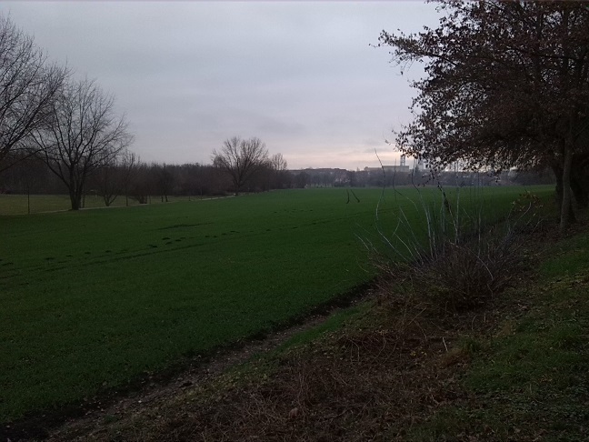 3a-Merseburg Abzweig-Saale-Radwanderweg Zu Verbindungsweg Zu Leunatorstraße In Leuna Blick Nach Südosten (1)