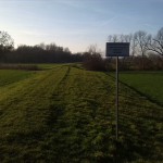 47a-Leuna Saaleaue Bis Merseburg Südostteil Am Weg Südwestlich Mittelkanal Blick Nach Südwesten Entlang Deich (1)