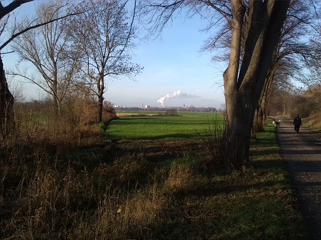 48a-Merseburg Saaleaue Zwischen Leuna & Merseburg Südostteil Am Weg Südwestlich Mittelkanal Blick Nach Nordwesten Zum Zentrum Merseburg (1)