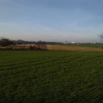 49a-Merseburg Saaleaue Zwischen Leuna & Merseburg Südostteil Blick Nach Nordwesten Zum Zentrum Merseburg (1)