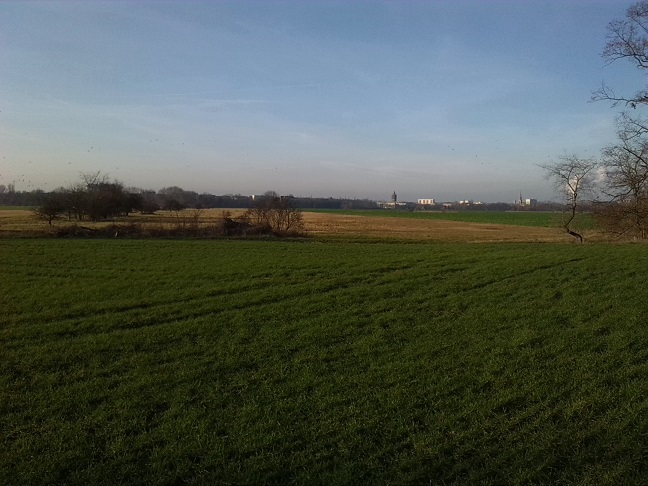 49a-Merseburg Saaleaue Zwischen Leuna & Merseburg Südostteil Blick Nach Nordwesten Zum Zentrum Merseburg (1)