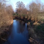 57a-Merseburg Blick Von Wartebrücke Zwischen Am Werder & Trebnitz Auf Alte Saale Flussabwärts Nach Nordwesten (2)