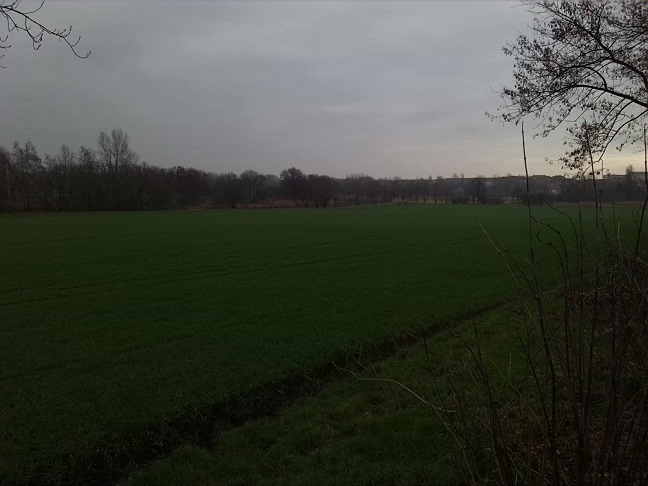 5a-Merseburg Abzweig-Saale-Radwanderweg Zu Verbindungsweg Zu Leunatorstraße In Leuna Blick Nach Südosten (1)