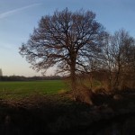 60a-Merseburg Trebnitz Blick Über Alte Saale Zum Zentrum Merseburg Nach Nordwesten (2)