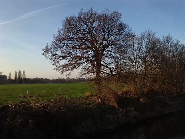 60a-Merseburg Trebnitz Blick Über Alte Saale Zum Zentrum Merseburg Nach Nordwesten (2)