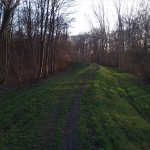 65a-Merseburg Südwestrand Fasanerie Blick Von Deich Nach Südosten (1)