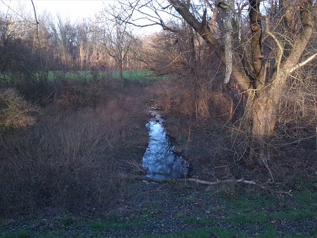 66a-Merseburg Südwestrand Fasanerie Blick Von Deich Nach Nordosten Zusaalealtarm (1)