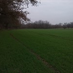 6a-Merseburg Abzweig-Saale-Radwanderweg ZuVerbindungsweg Zu Leunatorstraße In Leuna Blick Nach Nordosten (2)