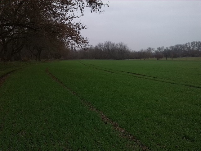 6a-Merseburg Abzweig-Saale-Radwanderweg ZuVerbindungsweg Zu Leunatorstraße In Leuna Blick Nach Nordosten (2)
