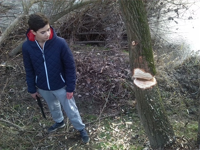 70a-Merseburg Nordwestlich Überlauf Alte Saale Nordwestlich Von Fasanerie Frevel In Weichholzaue Am Mittelkanal (1)