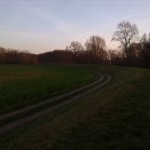 71a-Merseburg Blick Aus Richtung Amtshäuser Nach Südosten In Richtung Fasanerie & Mittelkanal (2)