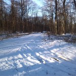 13a-Hakel Nordwestteil Blick Auf Verbindungsweg Heteborn & Cochstedt Durch Hakel Blick Aufweg Von Rückegasse Unweit Rückegerät Nach Südwesten (1)