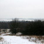 13b-Halle NSG Brandberge Blick Nach Norden In Richtung Saale