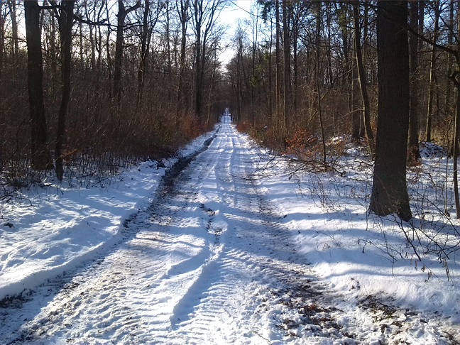 15a-Hakel Nordwestteil Blick Vom Verbindungsweg Heteborn & Cochstedt Durch Hakel Blick Auf Weg Nach Südosten (2)