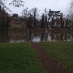 18a-Blick Von Saalepromenade Nördlich Amtsgarten Nach Norden (2)