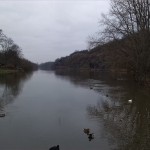 19a-Blick Von Saalepromenade Nordöstlich Amtsgarten Nach Norden Nach Kröllwitz Zu Forstwerder & Klausberge (2)