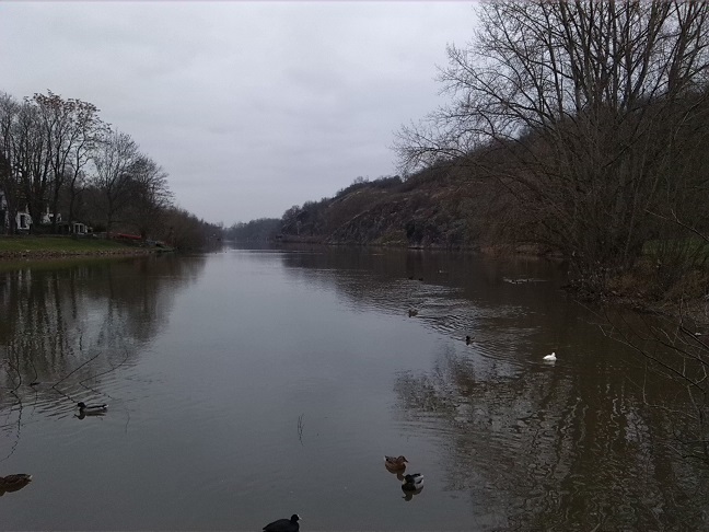 19a-Blick Von Saalepromenade Nordöstlich Amtsgarten Nach Norden Nach Kröllwitz Zu Forstwerder & Klausberge (2)
