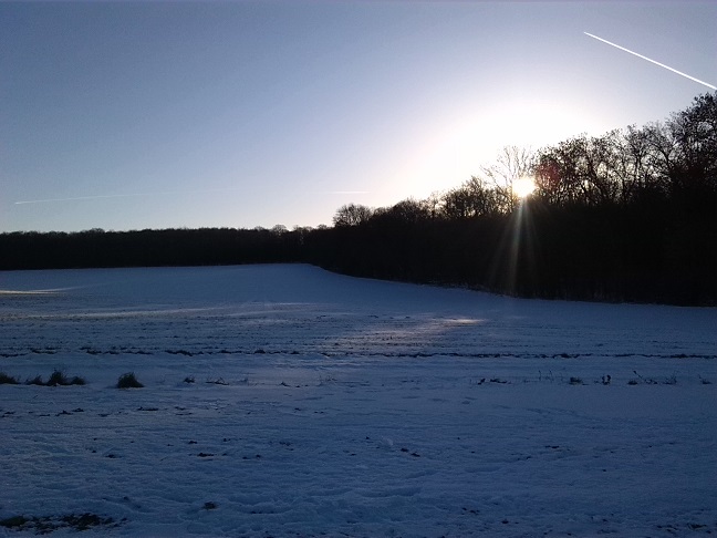 1a-Heteborn Blick Zum Hakel Nach Südosten (2)