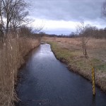 28a-Merseburg Blick Von Brücke Ulmenweg Geisel Flussaufwärts Nach Westen Zu Einmündung Klyegraben (1)